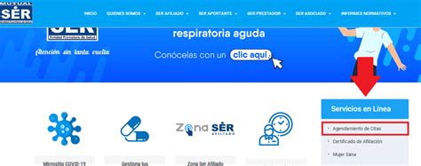 numero de mutual ser citas|Mutual SER: Afiliación, citas, certificado y servicios。